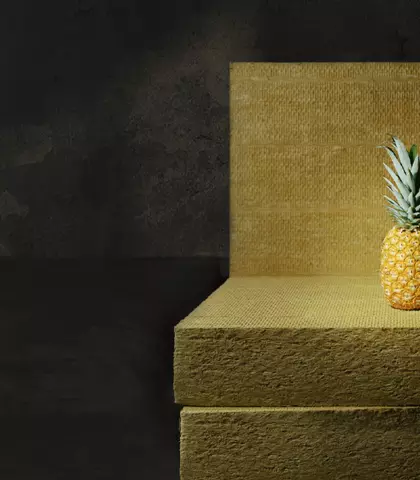 Ananas nebo diabas, izolace můžou mást Ananas nebo diabas, izolace můžou mást